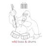 Wild Bass and Drums