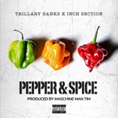 Pepper & Spice (feat. Inch) artwork