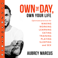 Aubrey Marcus - Own the Day, Own Your Life artwork
