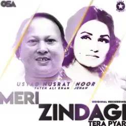 Meri Zindagi Tera Pyar - Single - Nusrat Fateh Ali Khan Meri Zindagi Tera Pyar - Single - Nusrat Fateh Ali Khan