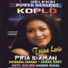 Seleksi Power Dangdut Koplo - Single