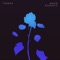 Nadir (Acoustic) - TENDER lyrics