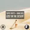 Stream & download Lost in the Desert (feat. Deniz Ateş) - Single