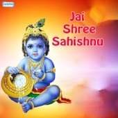 He Narayan Vaikunth - Vandit Chhadva