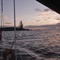 La Buena Vida - Stephen Mark Maughan lyrics
