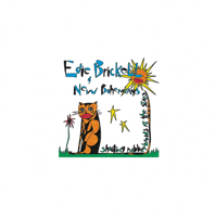 Edie Brickell & New Bohemians - Shooting Rubberbands at the Stars artwork