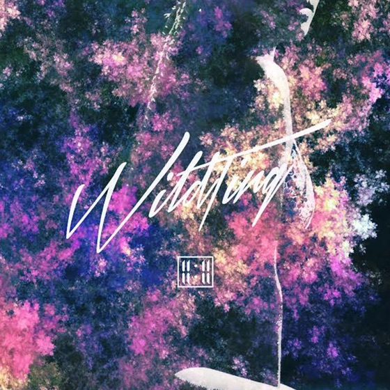 Cover artwork for Wild Ting