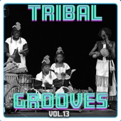 Tribal Grooves, Vol. 13 artwork