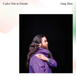 Going Home by Carlos Niño & Friends album reviews, ratings, credits