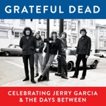 Grateful Dead - Dark Star (Live at Winterland, November 11, 1973)