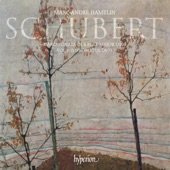 Piano Sonata in B-Flat Major, D. 960: III. Scherzo, Allegro vivace con delicatezza – Trio – Scherzo artwork