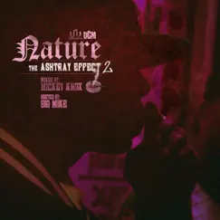 The Ashtray Effect 2 by Nature album reviews, ratings, credits