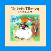 Tea for the Tillerman artwork