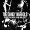 Every Day Should Be a Holiday (Tony Lash Mix) - The Dandy Warhols lyrics