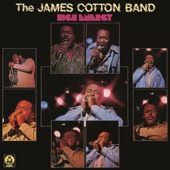 The James Cotton Band - Chicken Heads
