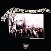 Muddy Waters & Paul Butterfield - Why Are People Like That?
