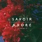 When the Summer Ends (Juicy Cola Remix) - Savoir Adore lyrics