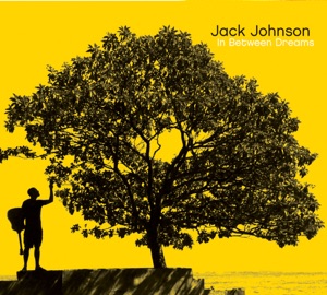 Jack Johnson - Better Together - Line Dance Musique