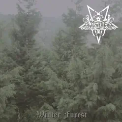 Winter Forest - Single - Mysteriis Winter Forest - Single - Mysteriis