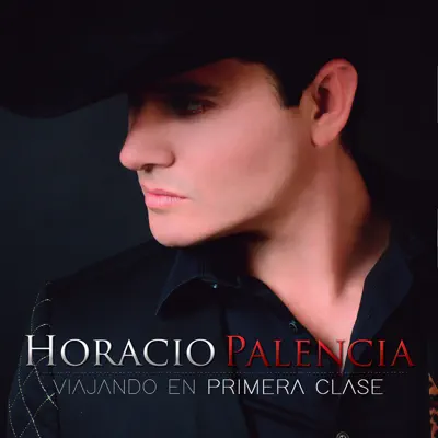 Viajando En Primera Clase - Horacio Palencia