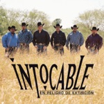 Intocable - Te Amo (Para Siempre)