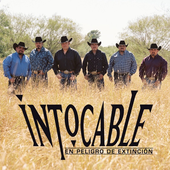 Cover artwork for Y Te Vas