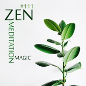 # 111: Zen Meditation Magic - Secrets to Finding Time for Peace of Mind Every Day, Sleep, Mindfulness, Yoga & SPA artwork