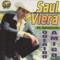 Luan Carrasco - Saul Viera lyrics