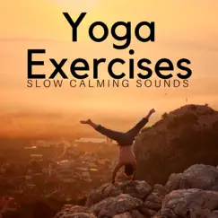 Yoga Exercises: Slow Calming Sounds, Inner Strength, Meditation, Peaceful Mind, Nature Sounds by Frank Easy album reviews, ratings, credits