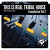 This Is Real Tribal House, Vol. 2, 2017