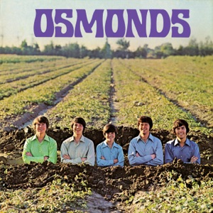 The Osmonds - He Ain't Heavy...He's My Brother - Line Dance Musik