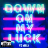 Down On My Luck (Zed Bias Remix) artwork