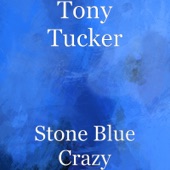 Stone Blue Saxy artwork