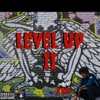 Level Up II