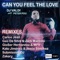 Can You Feel the Love (feat. Peter Pou) - DJ Valdi lyrics