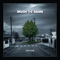 Survive by Much The Same album reviews, ratings, credits