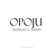 Opoju (feat. Wizkid) - DJ Spinall lyrics
