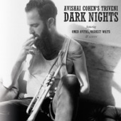 Dark Nights (feat. Nasheet Waits & Omer Avital) artwork