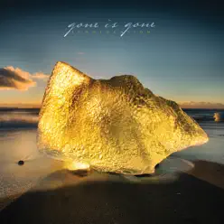 Echolocation - Gone Is Gone