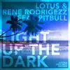 Light Up the Dark (feat. Pitbull) [Remixes] - EP album lyrics, reviews, download