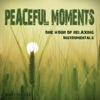 Peaceful Moments (One Hour of Relaxing Instrumentals) artwork