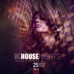 Big House Nights (25 Groovy House Tunes), Vol. 2 by Various Artists album reviews, ratings, credits