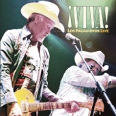 Viva (Live) artwork