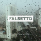 Falsetto Vocal Exercises artwork