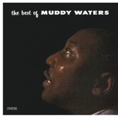 Muddy Waters - Mad Love (I Want You to Love Me)