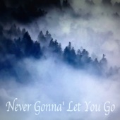 Never Gonna' let You Go (feat. Antoine Silverman) artwork