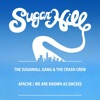 The Sugarhill Gang - Apache (Jump on It)