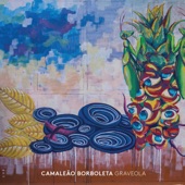 Camaleão Borboleta artwork