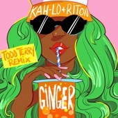 Ginger (Todd Terry Remix) artwork