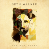 Are You Open? - Seth Walker